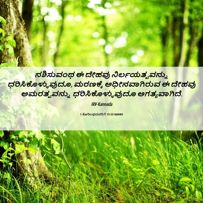 Picture 06 - 1 ಕೊರಿಂಥದವರಿಗೆ 15:53 KANIRV - ನಶಿಸುವಂಥ ಈ ದೇಹವು - Bible Verse Picture