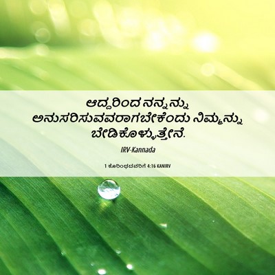 Picture 06 - 1 ಕೊರಿಂಥದವರಿಗೆ 4:16 KANIRV - ಆದ್ದರಿಂದ ನನ್ನನ್ನು - Bible Verse Picture
