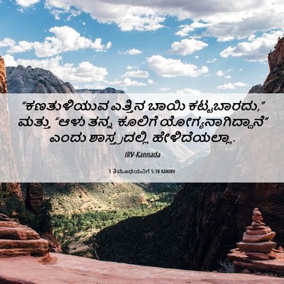 Picture 06 - 1 ತಿಮೊಥೆಯನಿಗೆ 5:18 KANIRV - “ಕಣತುಳಿಯುವ ಎತ್ತಿನ - Bible Verse Picture