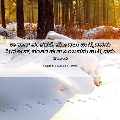Picture 06 - 1 ಪೂರ್ವಕಾಲವೃತ್ತಾಂತ 1:13 KANIRV - ಕಾನಾನ್ ವಂಶದಲ್ಲಿ - Bible Verse Picture