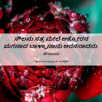 Picture 06 - 1 ಪೂರ್ವಕಾಲವೃತ್ತಾಂತ 1:49 KANIRV - ಸೌಲನು ಸತ್ತ ಮೇಲೆ - Bible Verse Picture