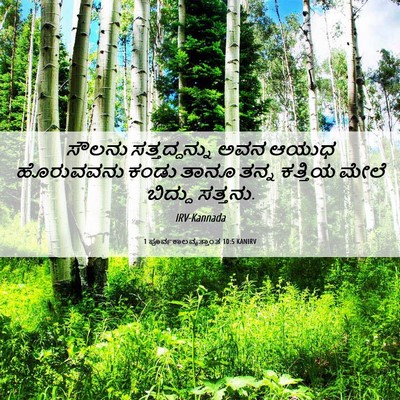 Picture 06 - 1 ಪೂರ್ವಕಾಲವೃತ್ತಾಂತ 10:5 KANIRV - ಸೌಲನು ಸತ್ತದ್ದನ್ನು - Bible Verse Picture