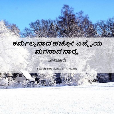 Picture 06 - 1 ಪೂರ್ವಕಾಲವೃತ್ತಾಂತ 11:37 KANIRV - ಕರ್ಮೆಲ್ಯನಾದ - Bible Verse Picture