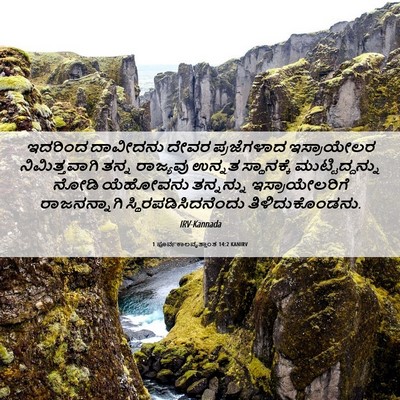 Picture 06 - 1 ಪೂರ್ವಕಾಲವೃತ್ತಾಂತ 14:2 KANIRV - ಇದರಿಂದ ದಾವೀದನು - Bible Verse Picture