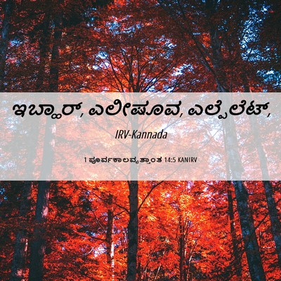 Picture 06 - 1 ಪೂರ್ವಕಾಲವೃತ್ತಾಂತ 14:5 KANIRV - ಇಬ್ಹಾರ್, ಎಲೀಷೂವ, - Bible Verse Picture