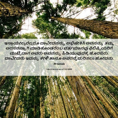 Picture 06 - 1 ಪೂರ್ವಕಾಲವೃತ್ತಾಂತ 14:8 KANIRV -  - Bible Verse Picture