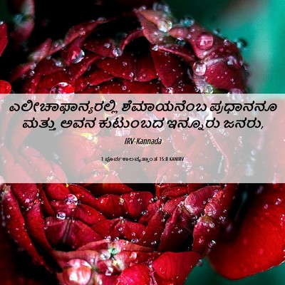 Picture 06 - 1 ಪೂರ್ವಕಾಲವೃತ್ತಾಂತ 15:8 KANIRV - ಎಲೀಚಾಫಾನ್ಯರಲ್ಲಿ - Bible Verse Picture