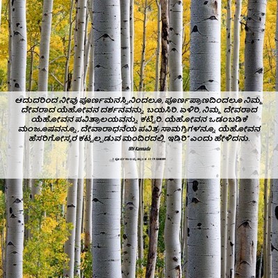 Picture 06 - 1 ಪೂರ್ವಕಾಲವೃತ್ತಾಂತ 22:19 KANIRV - ಆದುದರಿಂದ ನೀವು - Bible Verse Picture
