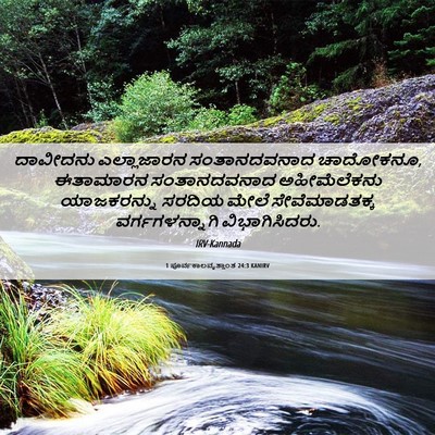 Picture 06 - 1 ಪೂರ್ವಕಾಲವೃತ್ತಾಂತ 24:3 KANIRV - ದಾವೀದನು ಎಲ್ಲಾಜಾರನ - Bible Verse Picture