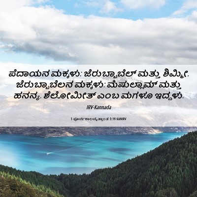 Picture 06 - 1 ಪೂರ್ವಕಾಲವೃತ್ತಾಂತ 3:19 KANIRV - ಪೆದಾಯನ ಮಕ್ಕಳು: - Bible Verse Picture