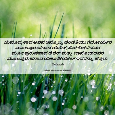 Picture 06 - 1 ಪೂರ್ವಕಾಲವೃತ್ತಾಂತ 4:18 KANIRV - ಯೆಹೂದ್ಯಳಾದ ಅವನ - Bible Verse Picture