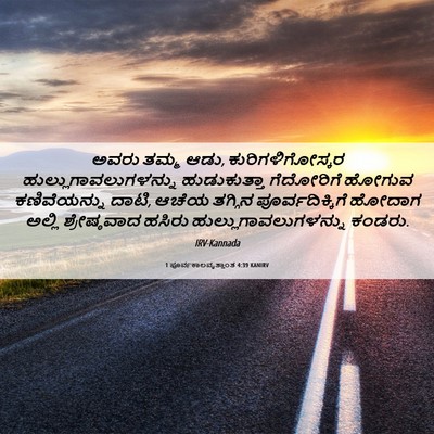 Picture 06 - 1 ಪೂರ್ವಕಾಲವೃತ್ತಾಂತ 4:39 KANIRV - ಅವರು ತಮ್ಮ ಆಡು, - Bible Verse Picture