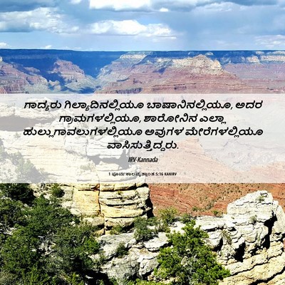 Picture 06 - 1 ಪೂರ್ವಕಾಲವೃತ್ತಾಂತ 5:16 KANIRV - ಗಾದ್ಯರು - Bible Verse Picture