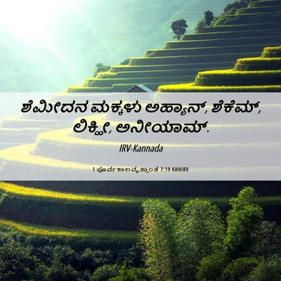 Picture 06 - 1 ಪೂರ್ವಕಾಲವೃತ್ತಾಂತ 7:19 KANIRV - ಶೆಮೀದನ ಮಕ್ಕಳು - Bible Verse Picture