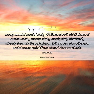 Picture 06 - 1 ಪೇತ್ರನು 2:24 KANIRV - ನಾವು ಪಾಪದ ಪಾಲಿಗೆ - Bible Verse Picture