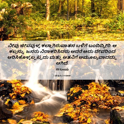 Picture 06 - 1 ಪೇತ್ರನು 2:4 KANIRV - ನೀವು ಜೀವವುಳ್ಳ - Bible Verse Picture
