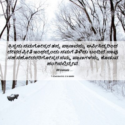 Picture 06 - 1 ಯೋಹಾನನು 3:16 KANIRV - ಕ್ರಿಸ್ತನು - Bible Verse Picture