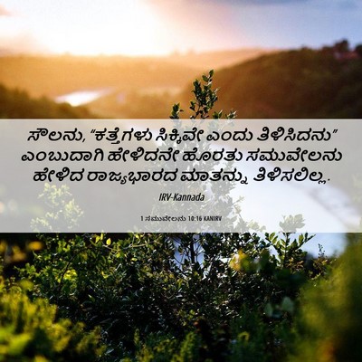 Picture 06 - 1 ಸಮುವೇಲನು 10:16 KANIRV - ಸೌಲನು, “ಕತ್ತೆಗಳು - Bible Verse Picture