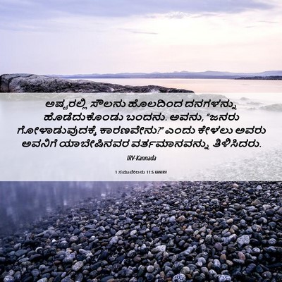 Picture 06 - 1 ಸಮುವೇಲನು 11:5 KANIRV - ಅಷ್ಟರಲ್ಲಿ ಸೌಲನು - Bible Verse Picture