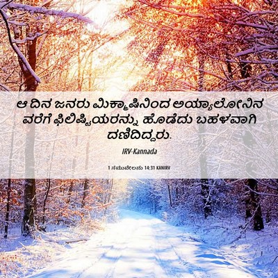 Picture 06 - 1 ಸಮುವೇಲನು 14:31 KANIRV - ಆ ದಿನ ಜನರು - Bible Verse Picture