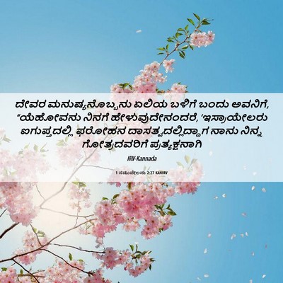 Picture 06 - 1 ಸಮುವೇಲನು 2:27 KANIRV - ದೇವರ - Bible Verse Picture