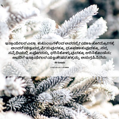 Picture 06 - 1 ಸಮುವೇಲನು 2:28 KANIRV - ಇಸ್ರಾಯೇಲರ ಎಲ್ಲಾ - Bible Verse Picture