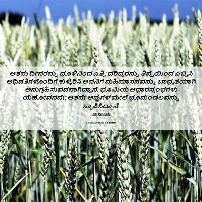 Picture 06 - 1 ಸಮುವೇಲನು 2:8 KANIRV - ಆತನು ದೀನರನ್ನು - Bible Verse Picture