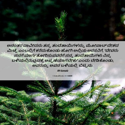 Picture 06 - 1 ಸಮುವೇಲನು 22:3 KANIRV - ಅನಂತರ ದಾವೀದನು - Bible Verse Picture