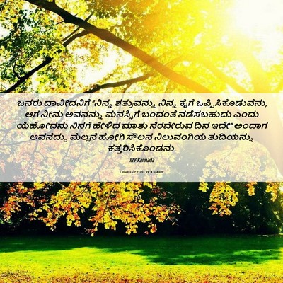 Picture 06 - 1 ಸಮುವೇಲನು 24:4 KANIRV - ಜನರು ದಾವೀದನಿಗೆ - Bible Verse Picture