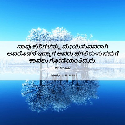 Picture 06 - 1 ಸಮುವೇಲನು 25:16 KANIRV - ನಾವು ಕುರಿಗಳನ್ನು - Bible Verse Picture