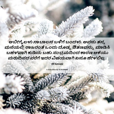 Picture 06 - 1 ಸಮುವೇಲನು 25:36 KANIRV - ಅಬೀಗೈಲಳು ನಾಬಾಲನ - Bible Verse Picture