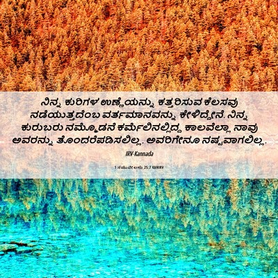 Picture 06 - 1 ಸಮುವೇಲನು 25:7 KANIRV - ನಿನ್ನ ಕುರಿಗಳ - Bible Verse Picture