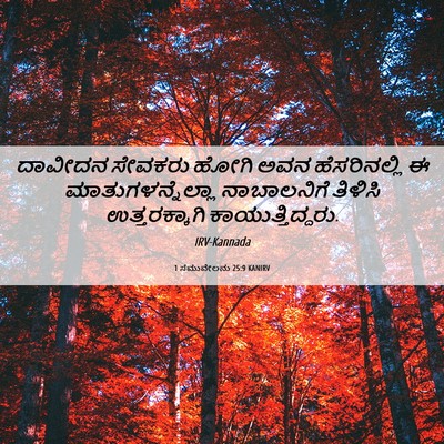 Picture 06 - 1 ಸಮುವೇಲನು 25:9 KANIRV - ದಾವೀದನ ಸೇವಕರು - Bible Verse Picture
