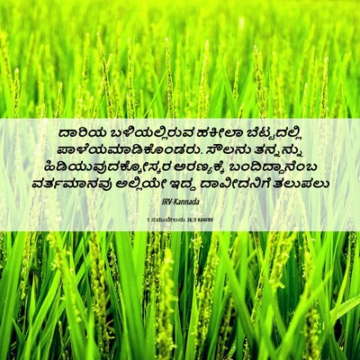 Picture 06 - 1 ಸಮುವೇಲನು 26:3 KANIRV - ದಾರಿಯ ಬಳಿಯಲ್ಲಿರುವ - Bible Verse Picture