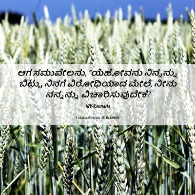 Picture 06 - 1 ಸಮುವೇಲನು 28:16 KANIRV - ಆಗ ಸಮುವೇಲನು, - Bible Verse Picture