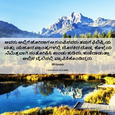 Picture 06 - 1 ಸಮುವೇಲನು 30:16 KANIRV - ಅವರು ಅಲ್ಲಿಗೆ - Bible Verse Picture