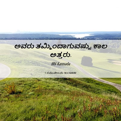 Picture 06 - 1 ಸಮುವೇಲನು 30:4 KANIRV - ಅವರು - Bible Verse Picture
