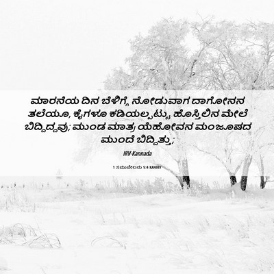Picture 06 - 1 ಸಮುವೇಲನು 5:4 KANIRV - ಮಾರನೆಯ ದಿನ - Bible Verse Picture
