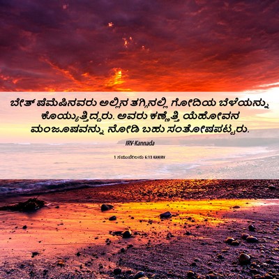 Picture 06 - 1 ಸಮುವೇಲನು 6:13 KANIRV - ಬೇತ್ ಷೆಮೆಷಿನವರು - Bible Verse Picture