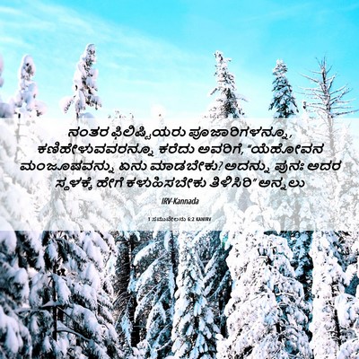 Picture 06 - 1 ಸಮುವೇಲನು 6:2 KANIRV - ನಂತರ ಫಿಲಿಷ್ಟಿಯರು - Bible Verse Picture