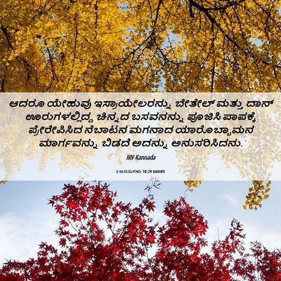 Picture 06 - 2 ಅರಸುಗಳು 10:29 KANIRV - ಆದರೂ ಯೇಹುವು - Bible Verse Picture