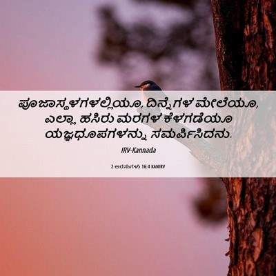 Picture 06 - 2 ಅರಸುಗಳು 16:4 KANIRV - ಪೂಜಾಸ್ಥಳಗಳಲ್ಲಿಯೂ, - Bible Verse Picture