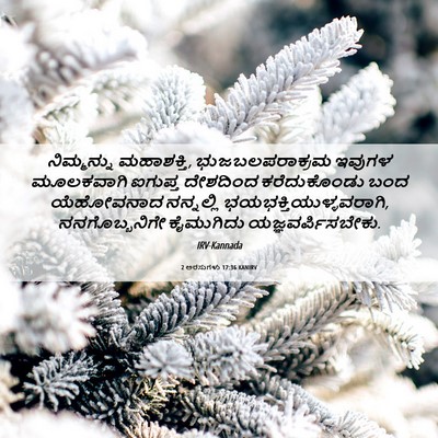 Picture 06 - 2 ಅರಸುಗಳು 17:36 KANIRV - ನಿಮ್ಮನ್ನು - Bible Verse Picture