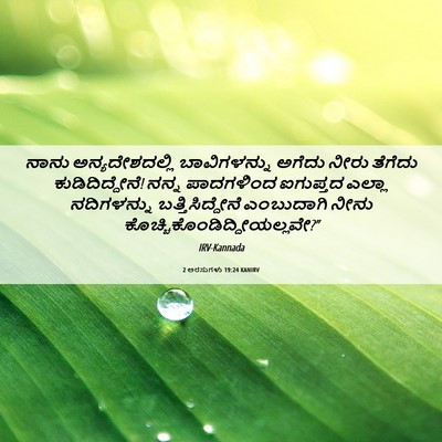 Picture 06 - 2 ಅರಸುಗಳು 19:24 KANIRV - ನಾನು ಅನ್ಯದೇಶದಲ್ಲಿ - Bible Verse Picture