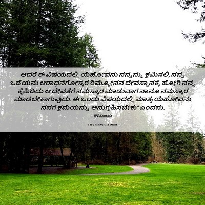 Picture 06 - 2 ಅರಸುಗಳು 5:18 KANIRV - ಆದರೆ ಈ ವಿಷಯದಲ್ಲಿ - Bible Verse Picture