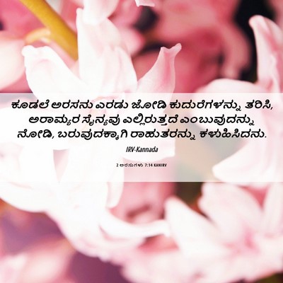 Picture 06 - 2 ಅರಸುಗಳು 7:14 KANIRV - ಕೂಡಲೆ ಅರಸನು ಎರಡು - Bible Verse Picture