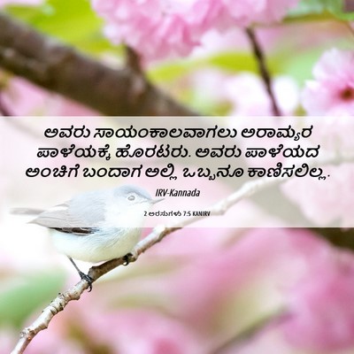 Picture 06 - 2 ಅರಸುಗಳು 7:5 KANIRV - ಅವರು ಸಾಯಂಕಾಲವಾಗಲು - Bible Verse Picture
