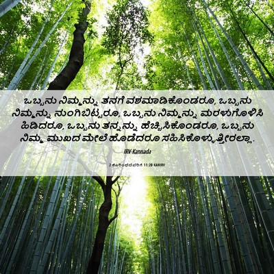 Picture 06 - 2 ಕೊರಿಂಥದವರಿಗೆ 11:20 KANIRV - ಒಬ್ಬನು ನಿಮ್ಮನ್ನು - Bible Verse Picture