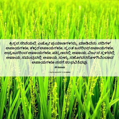 Picture 06 - 2 ಕೊರಿಂಥದವರಿಗೆ 11:26 KANIRV - ಕ್ರಿಸ್ತನ - Bible Verse Picture