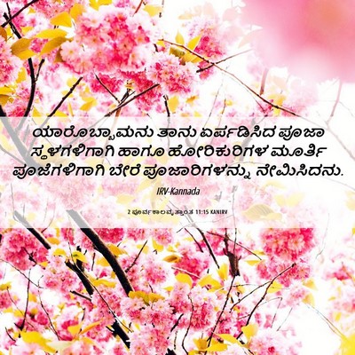 Picture 06 - 2 ಪೂರ್ವಕಾಲವೃತ್ತಾಂತ 11:15 KANIRV - ಯಾರೊಬ್ಬಾಮನು ತಾನು - Bible Verse Picture